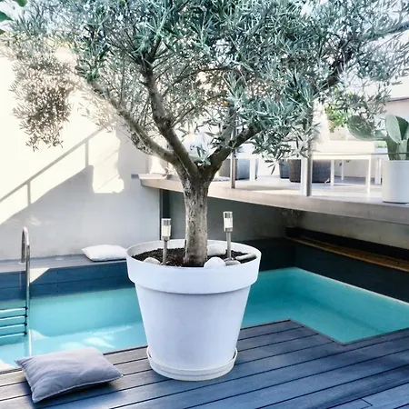 La Maison Blanche 5*, Piscine & Vue Cite Medievale 卡尔卡松